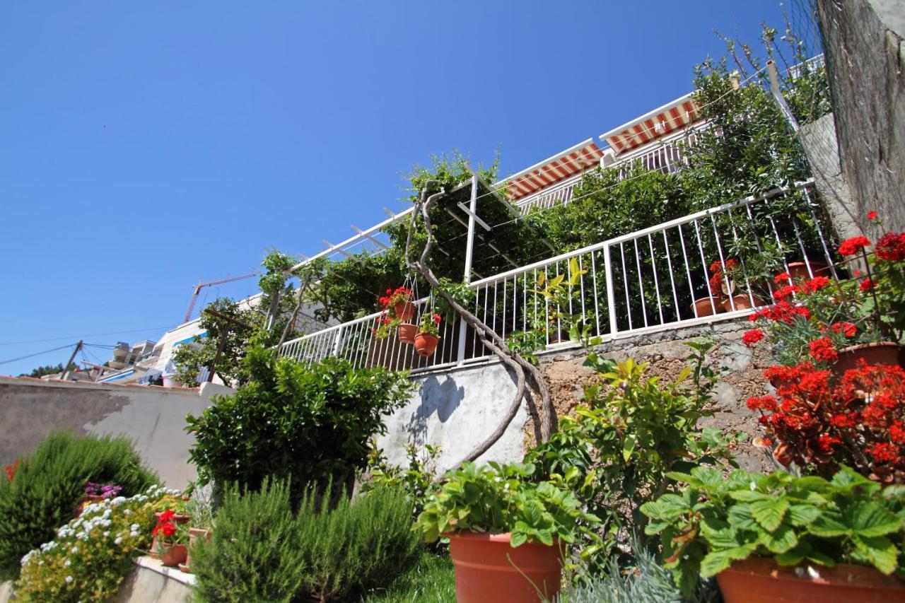 Apartments Ante Dubrovnik Eksteriør billede